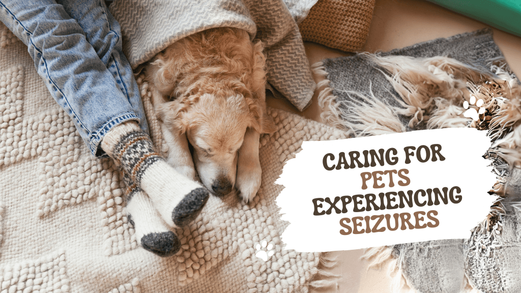 Caring for Pets with Seizures Caring for Pets with Seizures